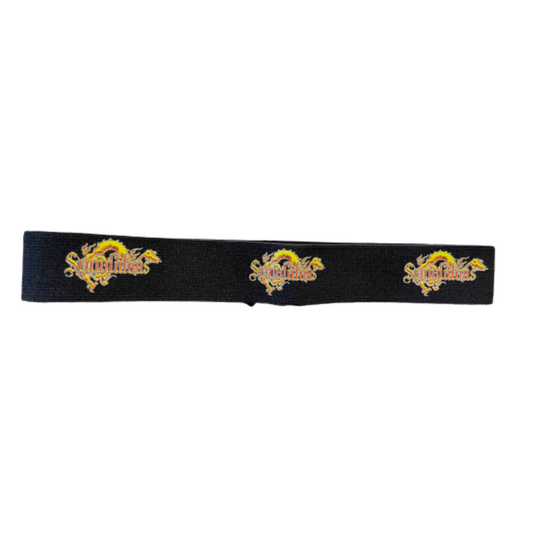 Melt Band